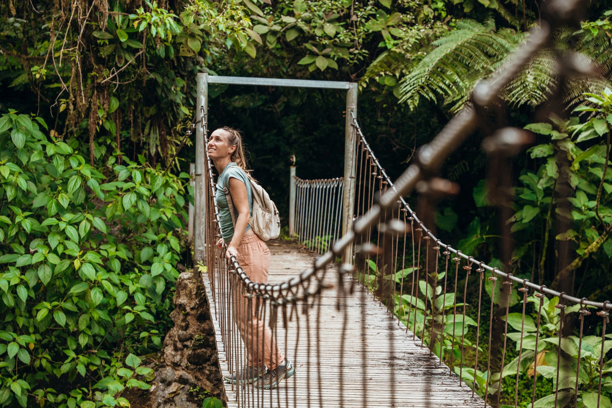 Guided Rainforest Adventure